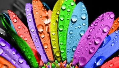 วิธีลดน้ำหนักด้วยอาหาร 6 กลีบ